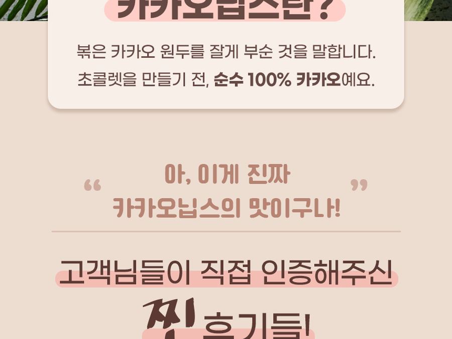 카카오패밀리 상세·브로셔 작업 1
