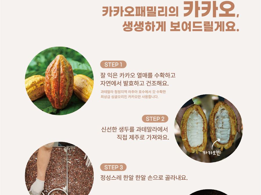 카카오패밀리 상세·브로셔 작업 8