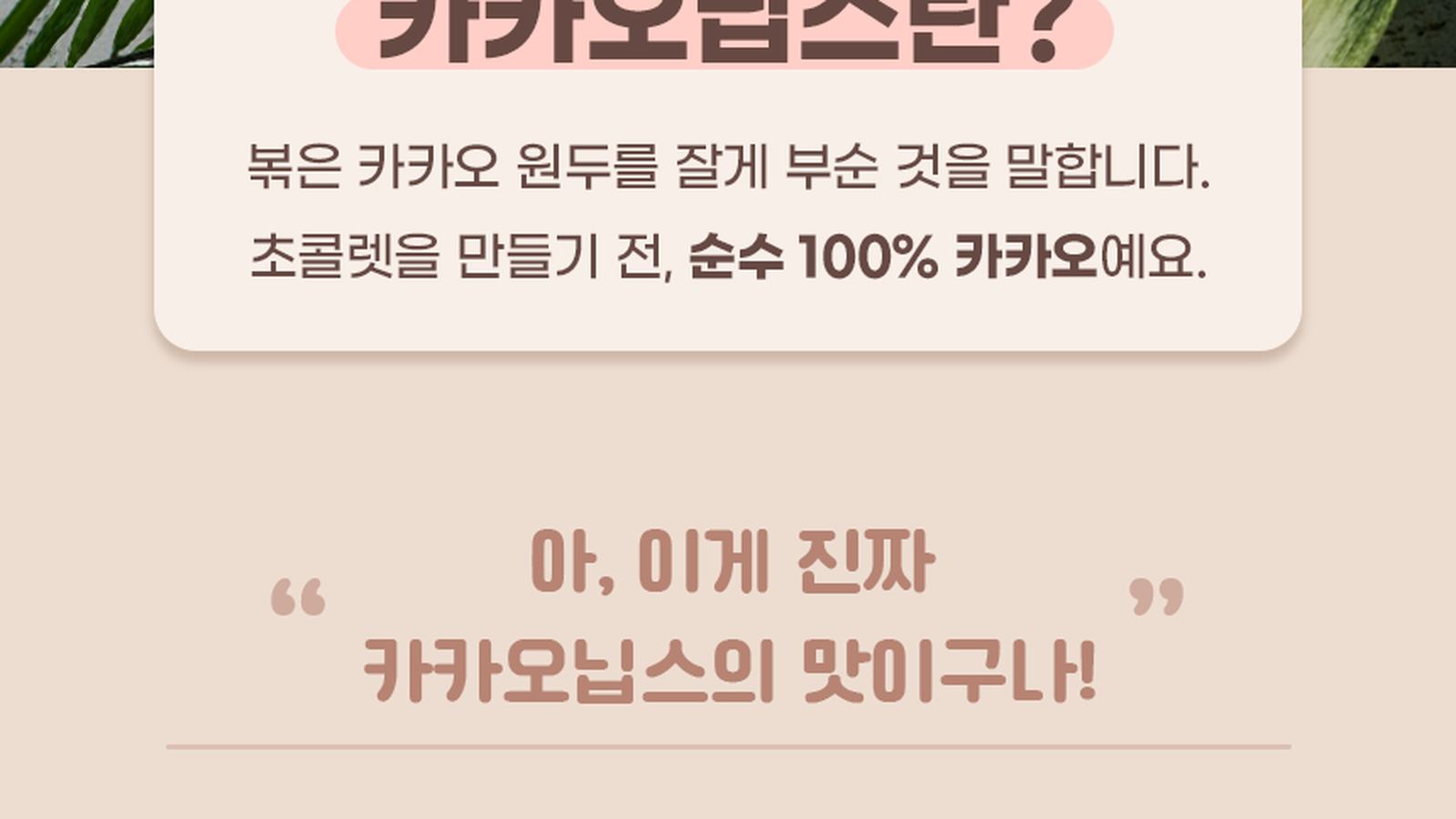 카카오패밀리 상세·브로셔 작업
